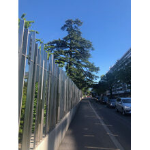 Rue de Lausanne 2019-05-31_16-28-28