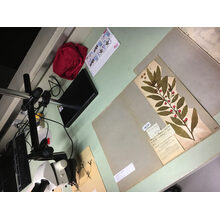 2019-01-01_14-58-37