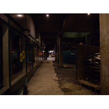DSCN3667