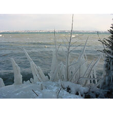 2005-01-29_16-41-46