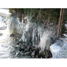2005-01-29_16-46-11