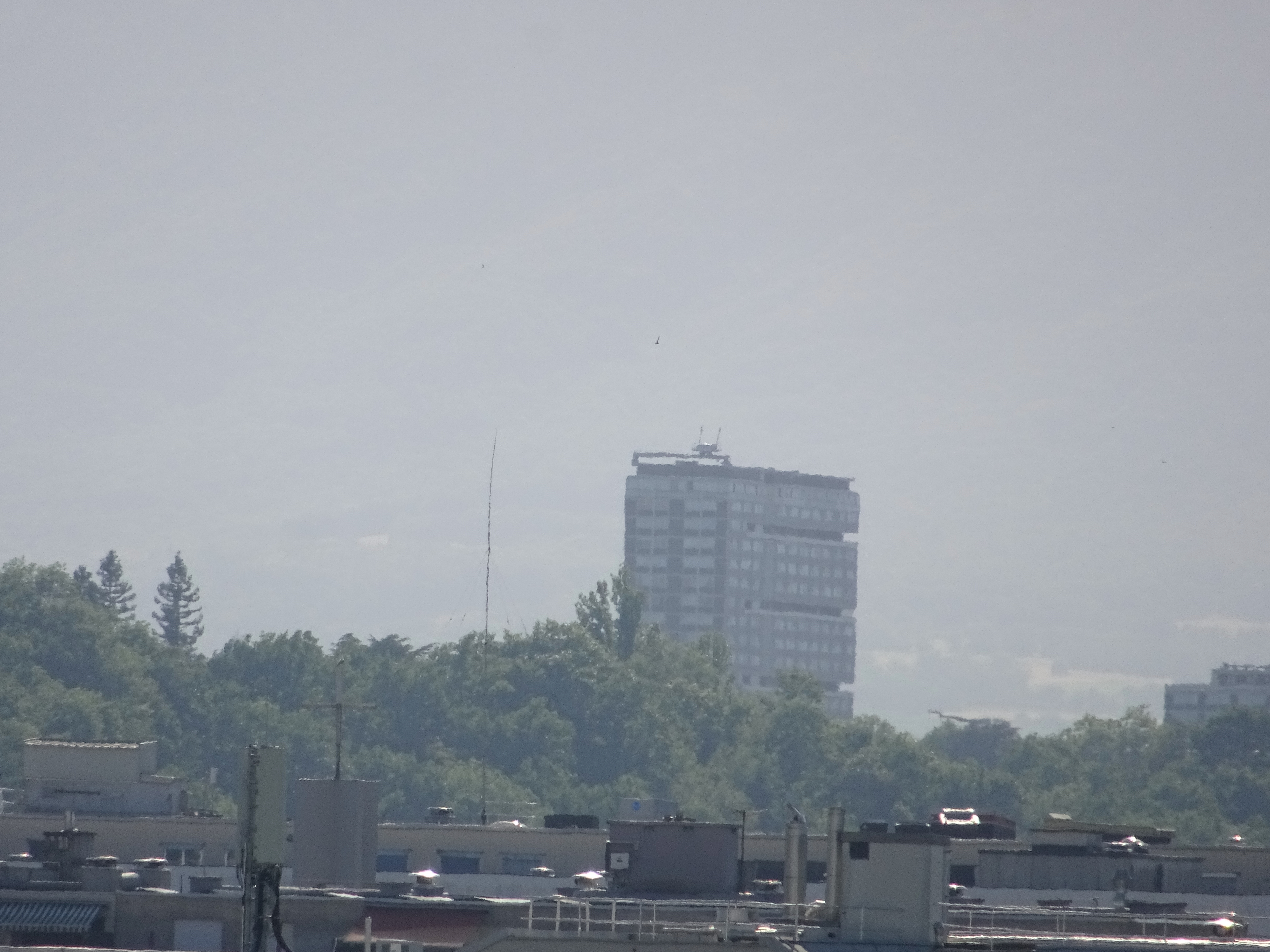 2026-06-20_18-17-33