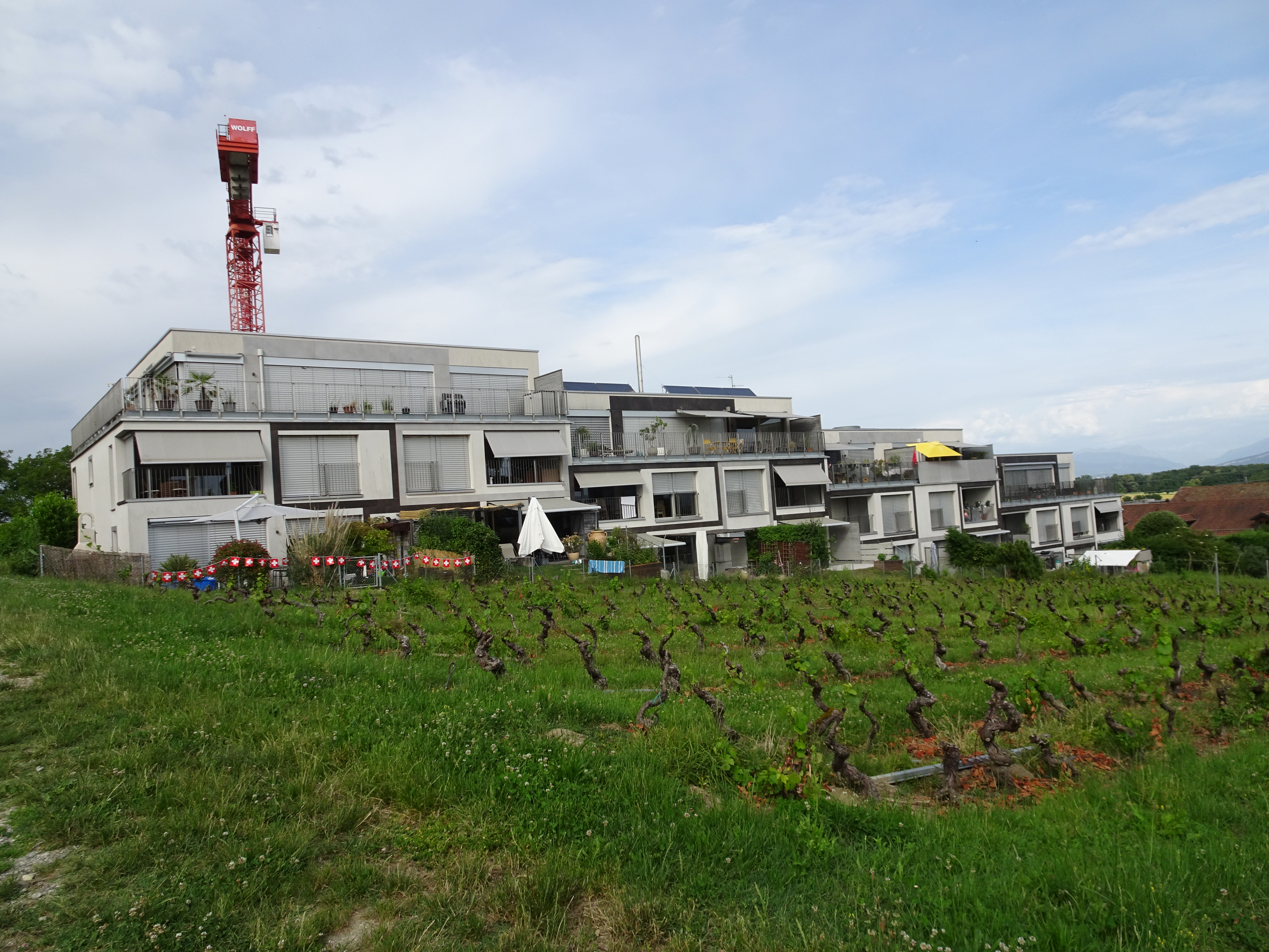 2026-06-16_17-53-26