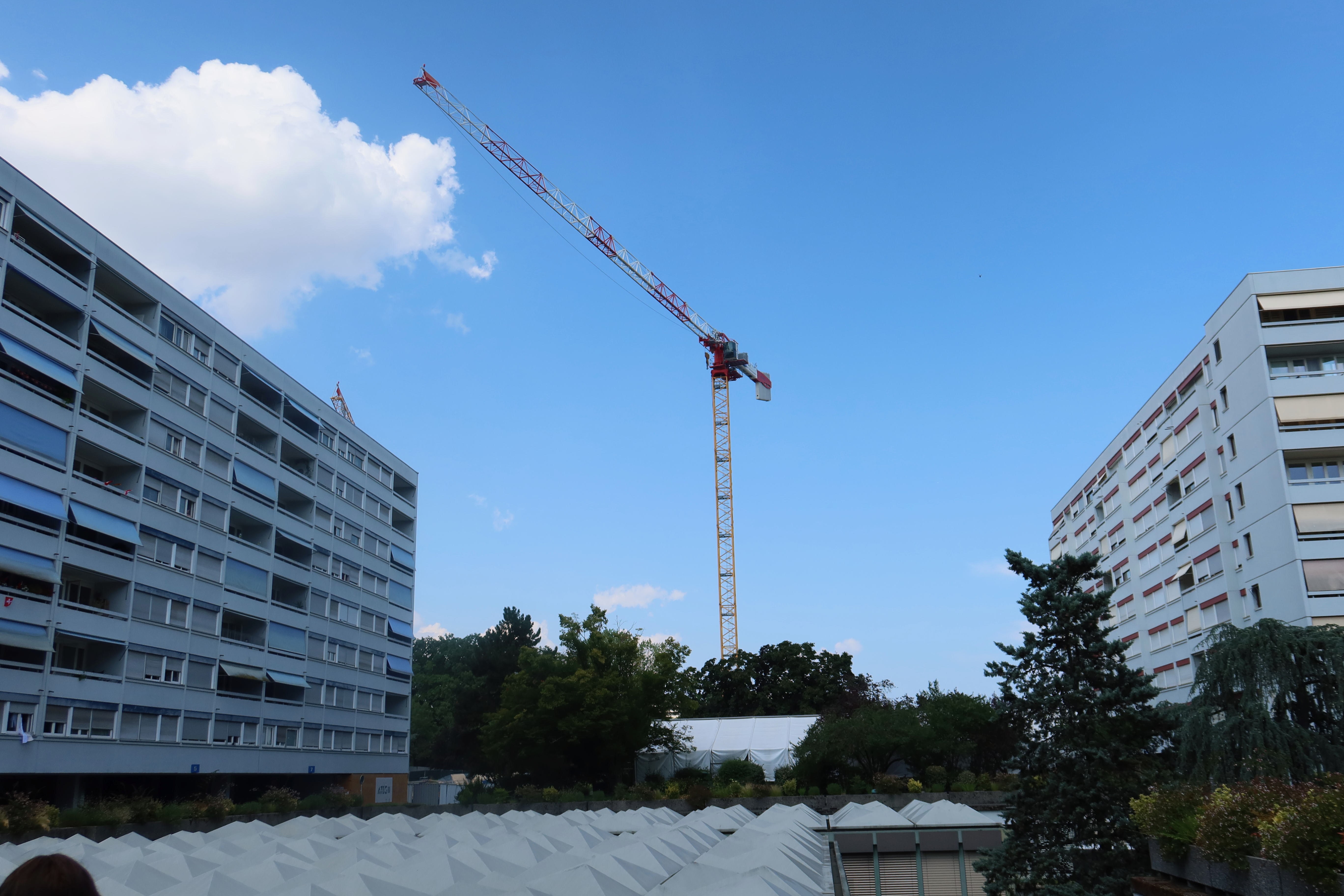 2026-08-01_15-36-11