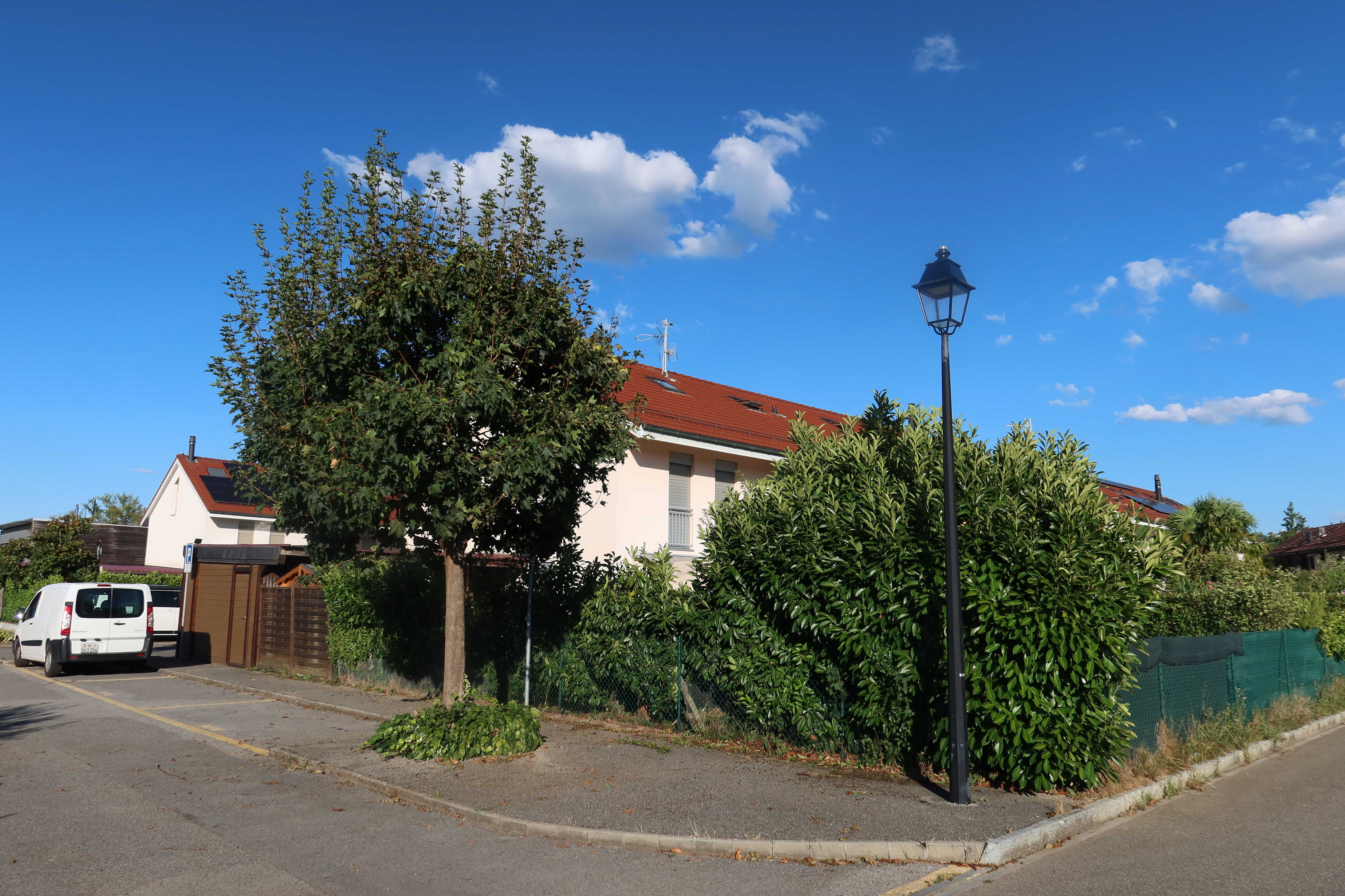2026-08-06_18-56-14