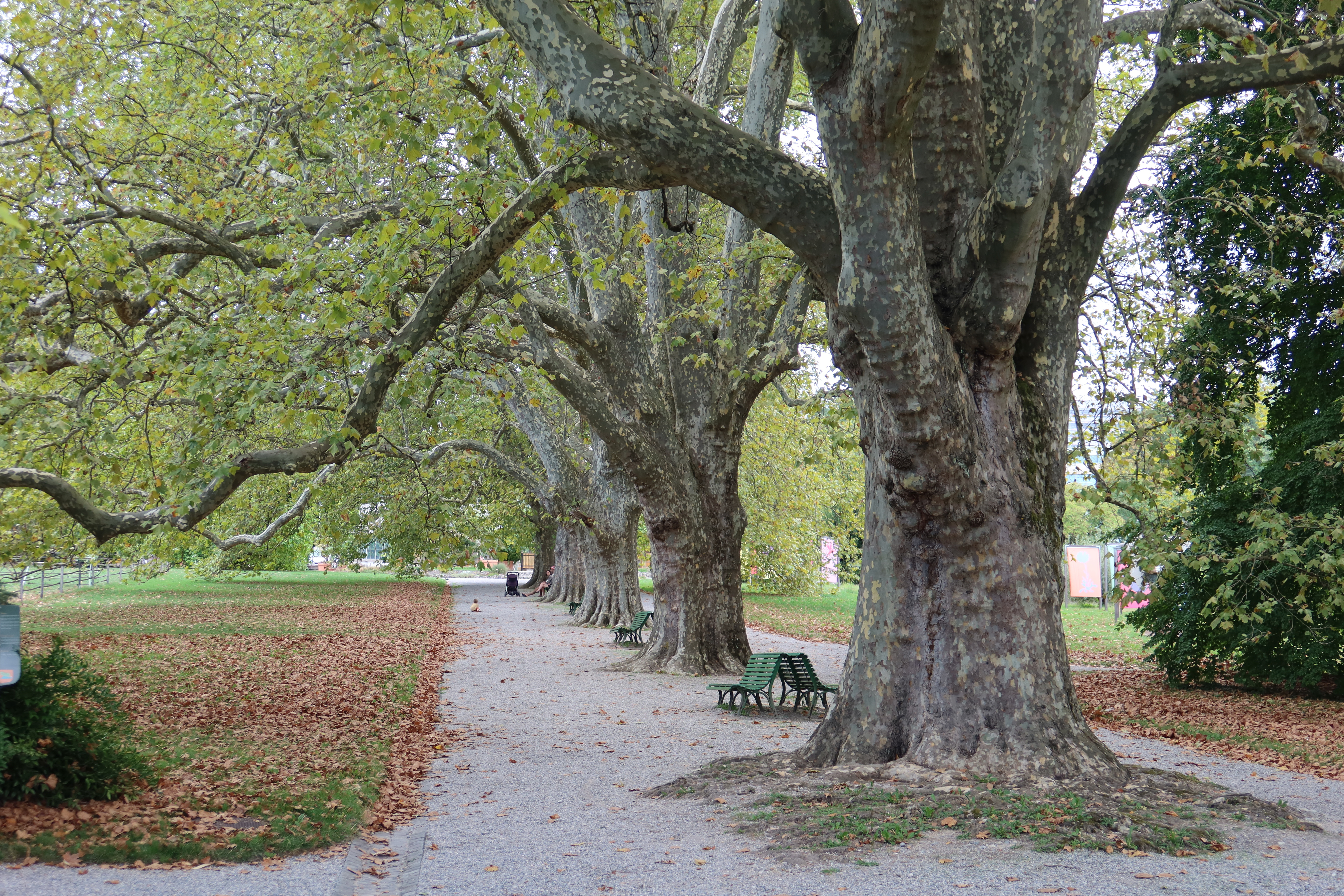 2026-08-30_17-47-18