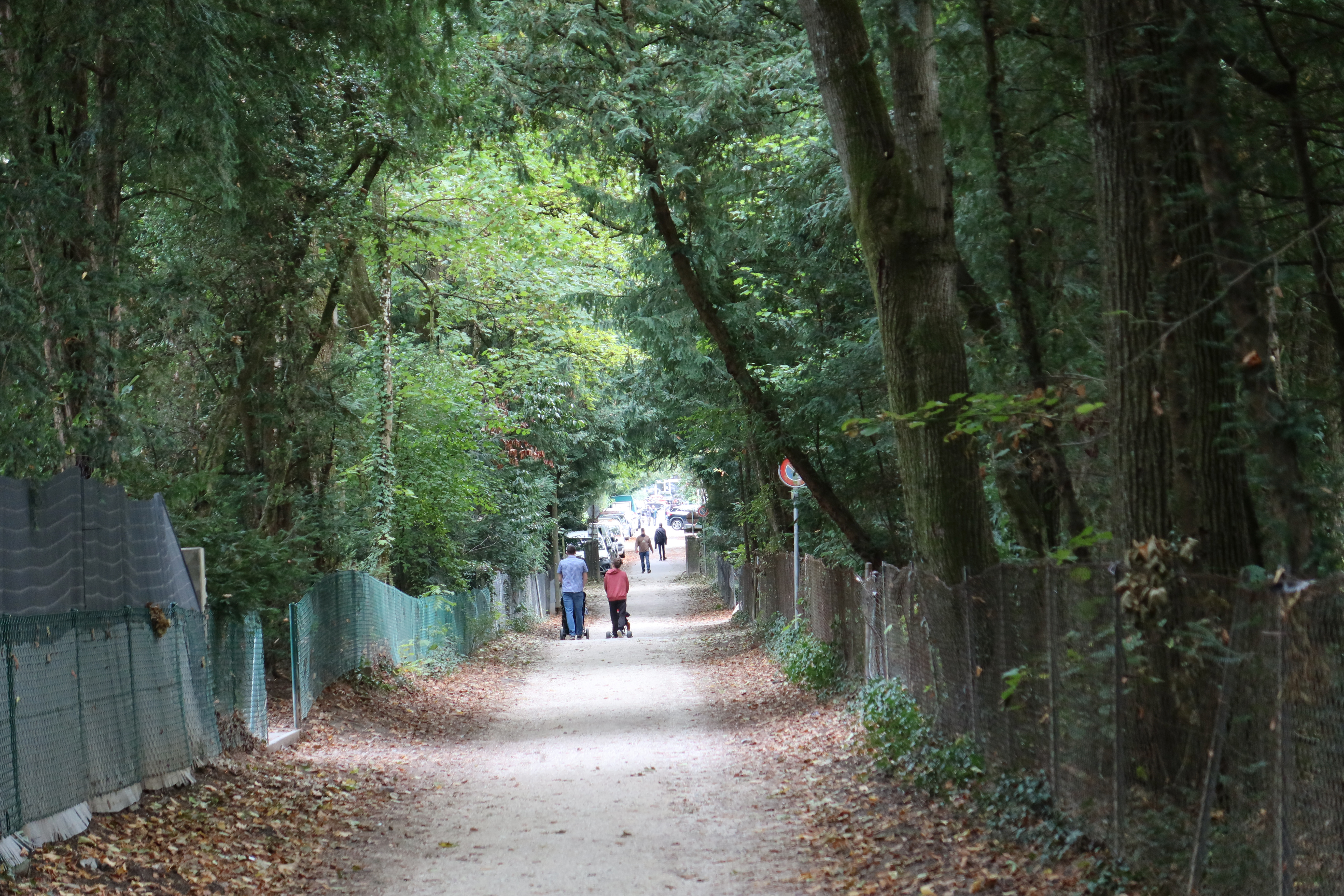 2026-10-11_17-07-59