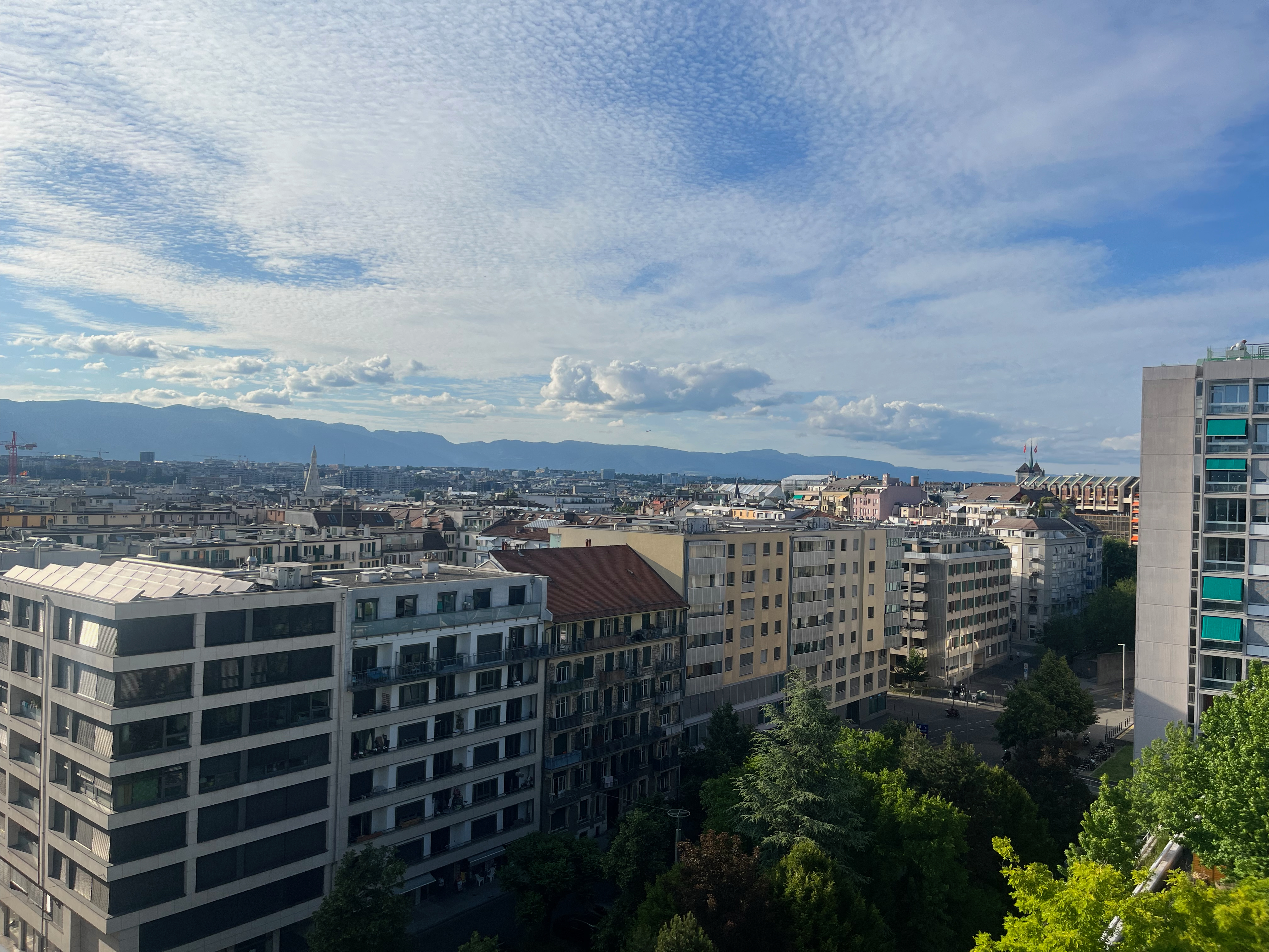 2026-06-01_18-59-58