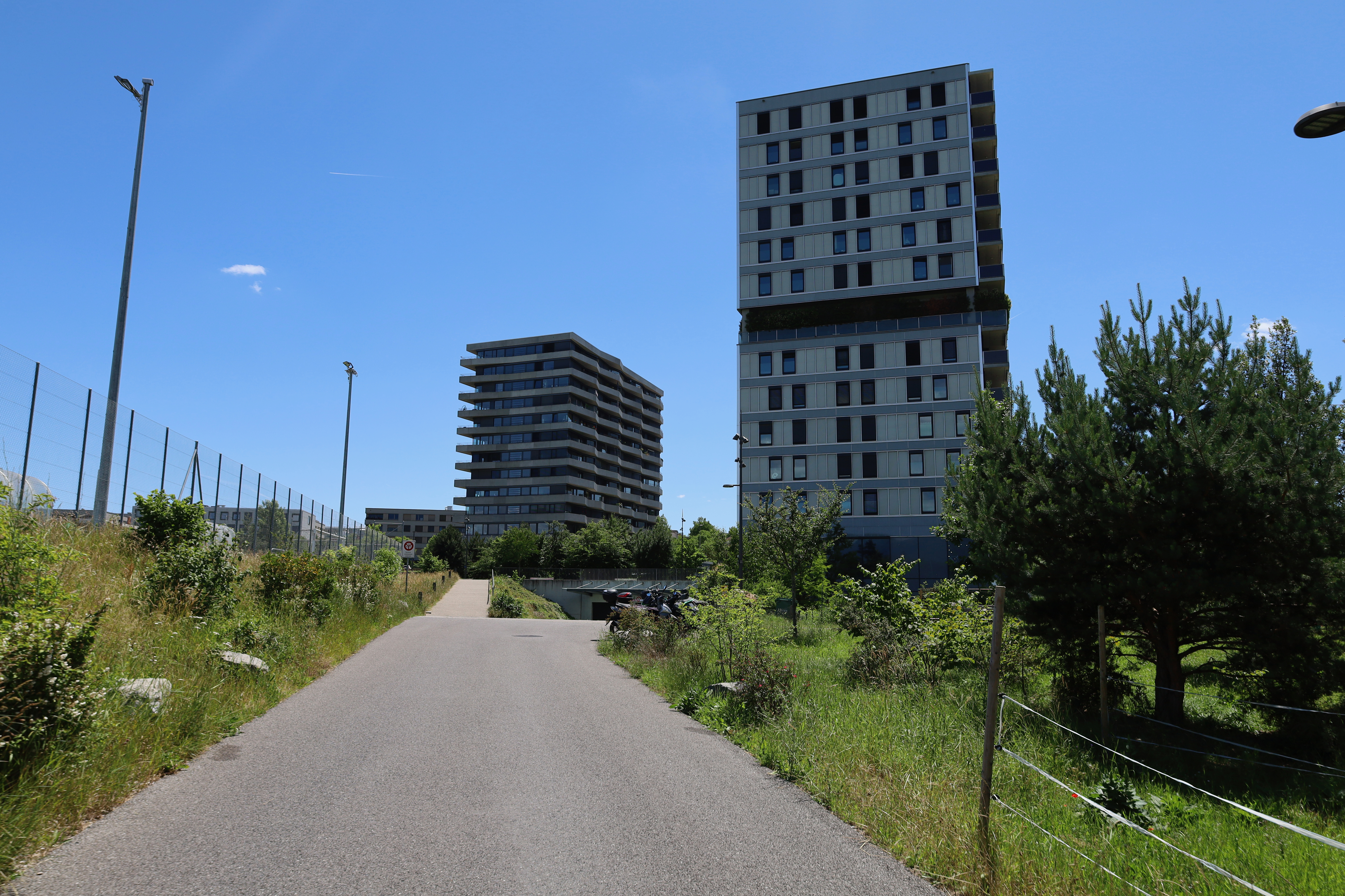 2026-06-12_13-16-58