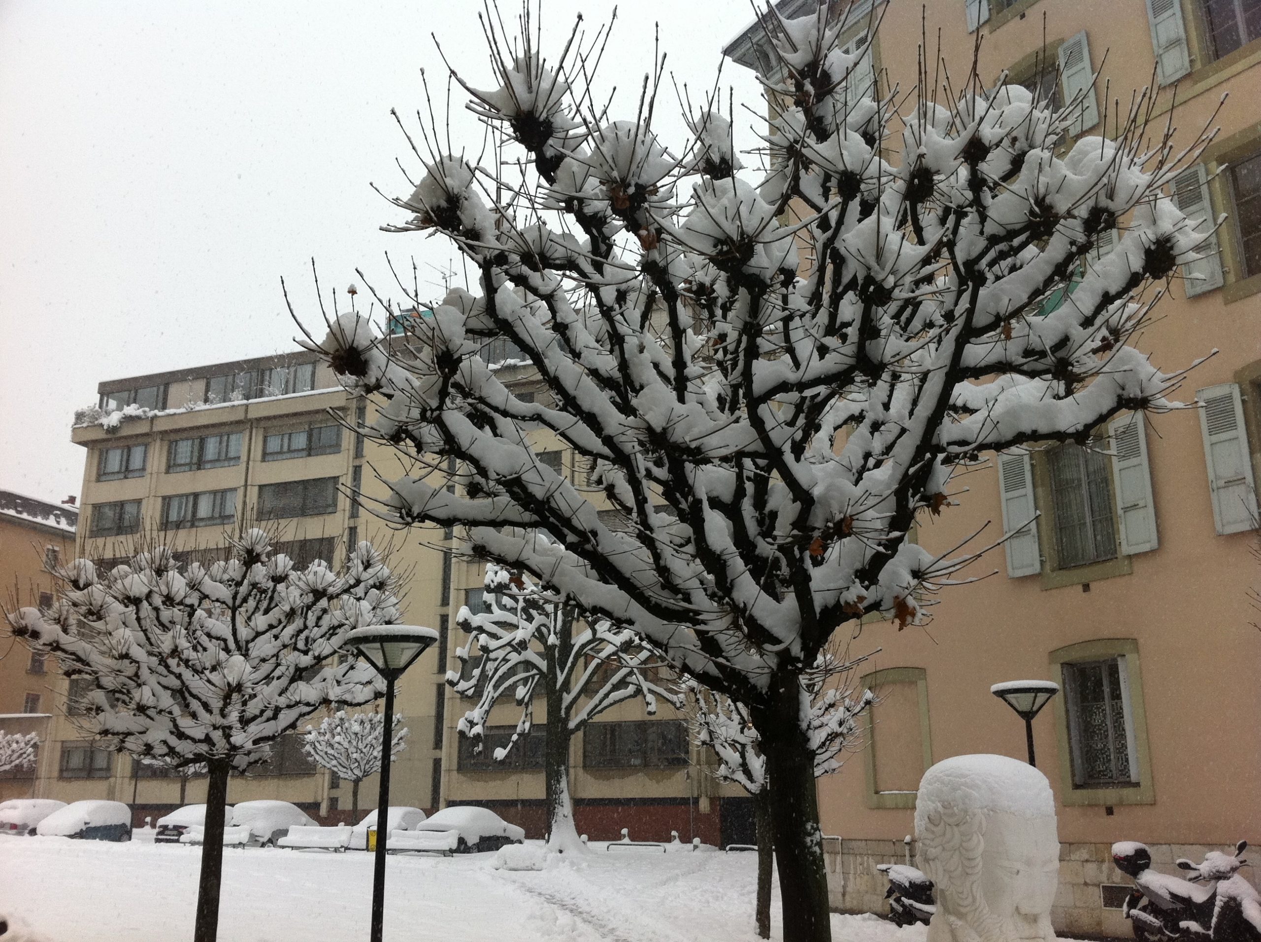 2010-12-01_13-58-29