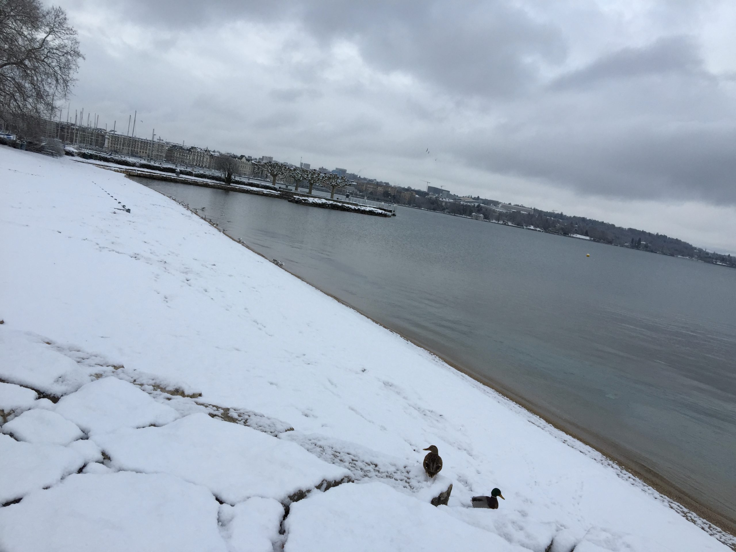 2016-01-17_10-55-24