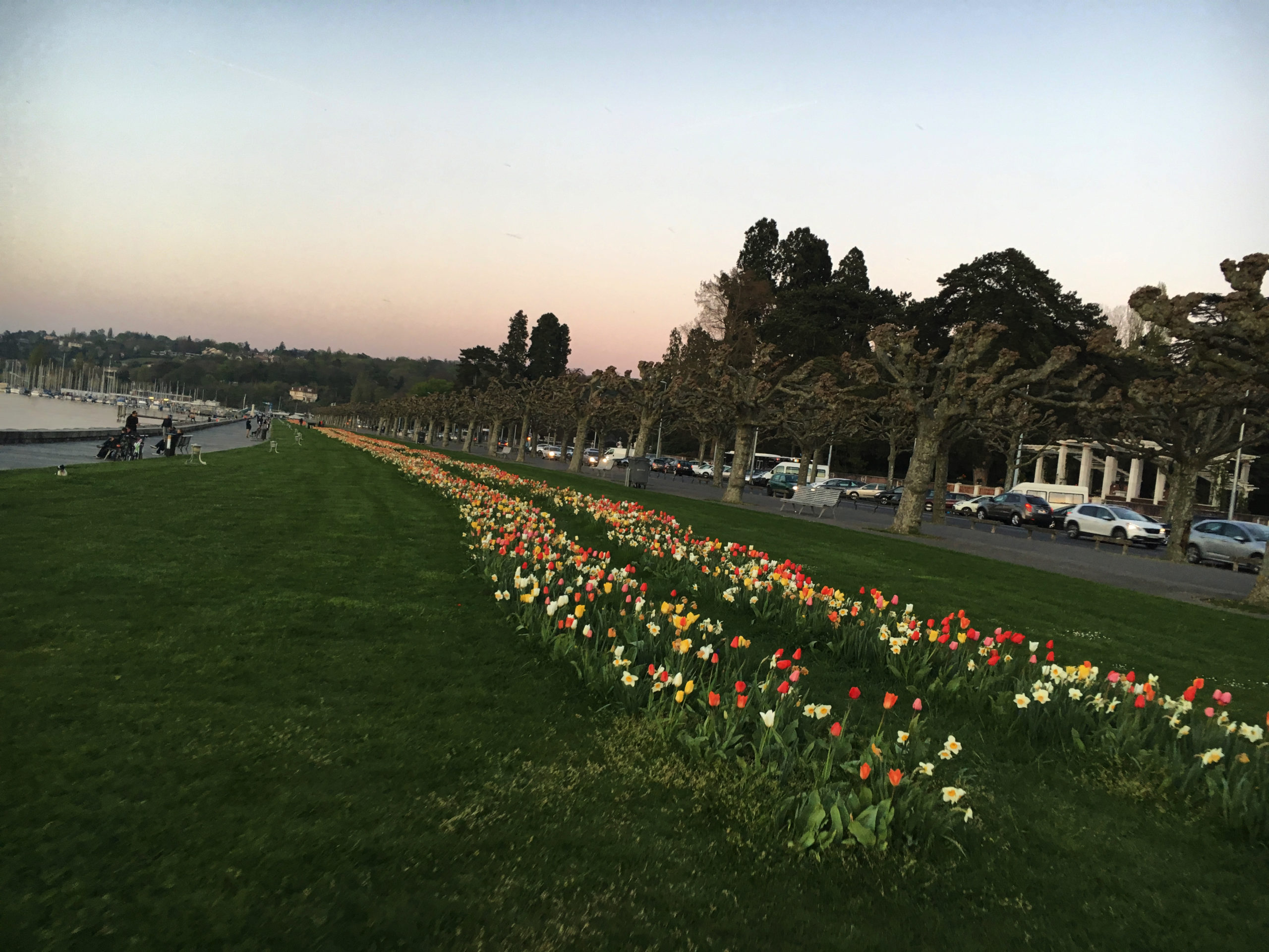 2017-04-07_20-16-21 1