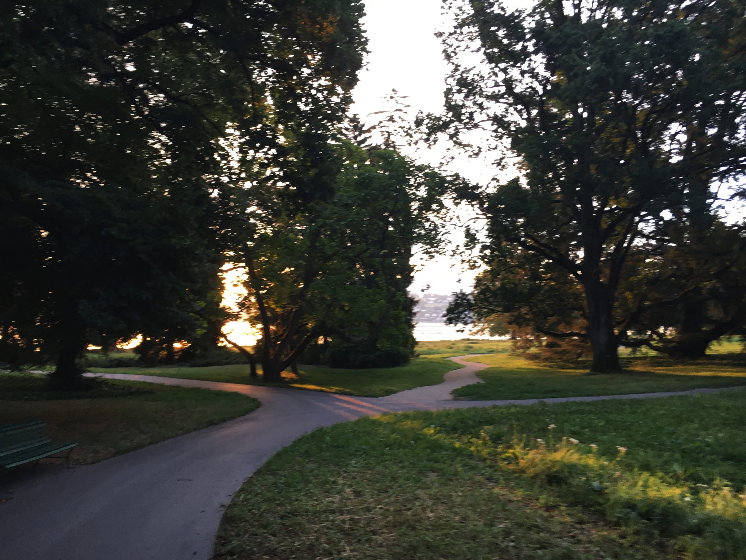 2017-08-15_06-53-11 1