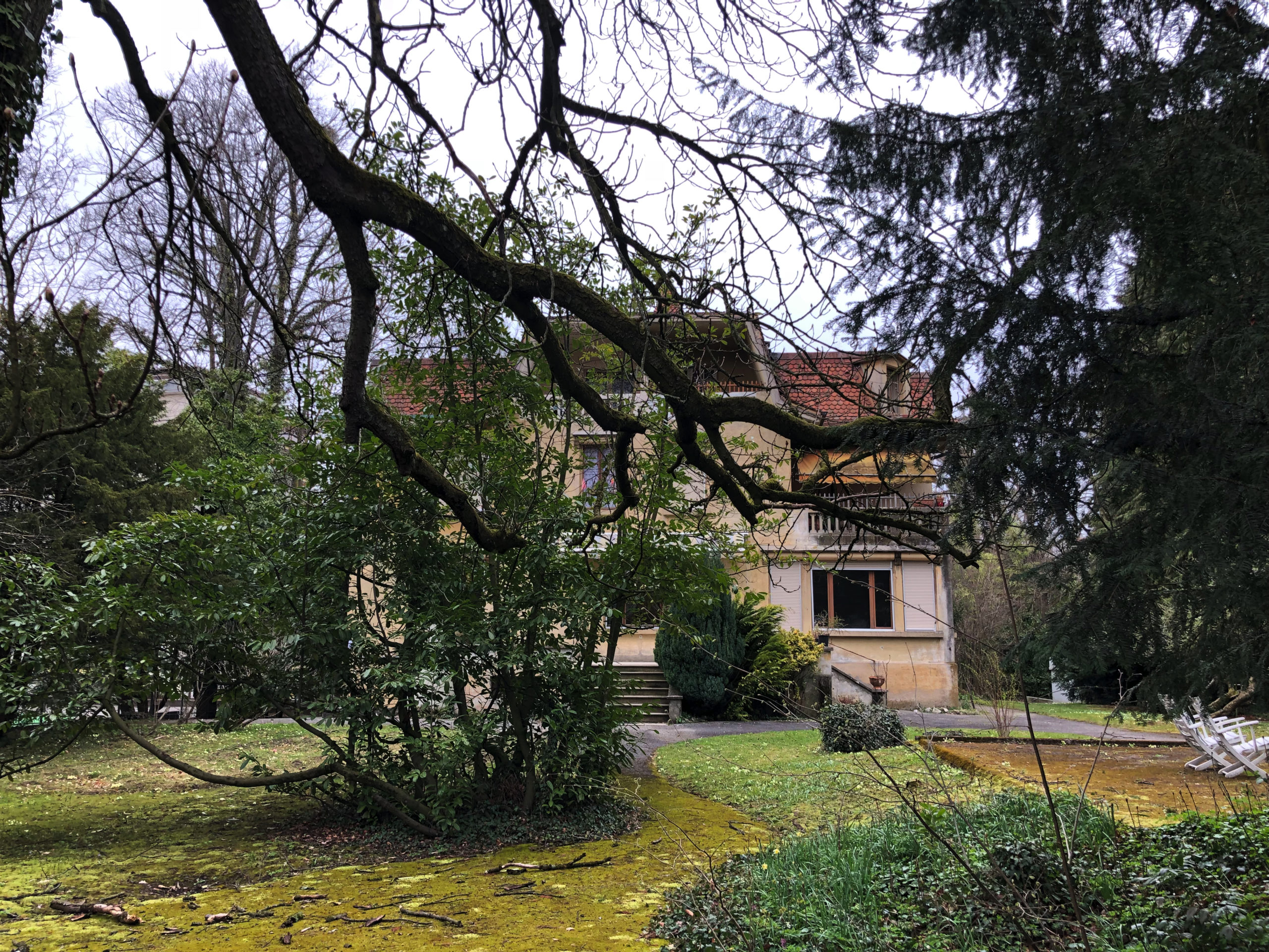 2019-01-01_14-49-03