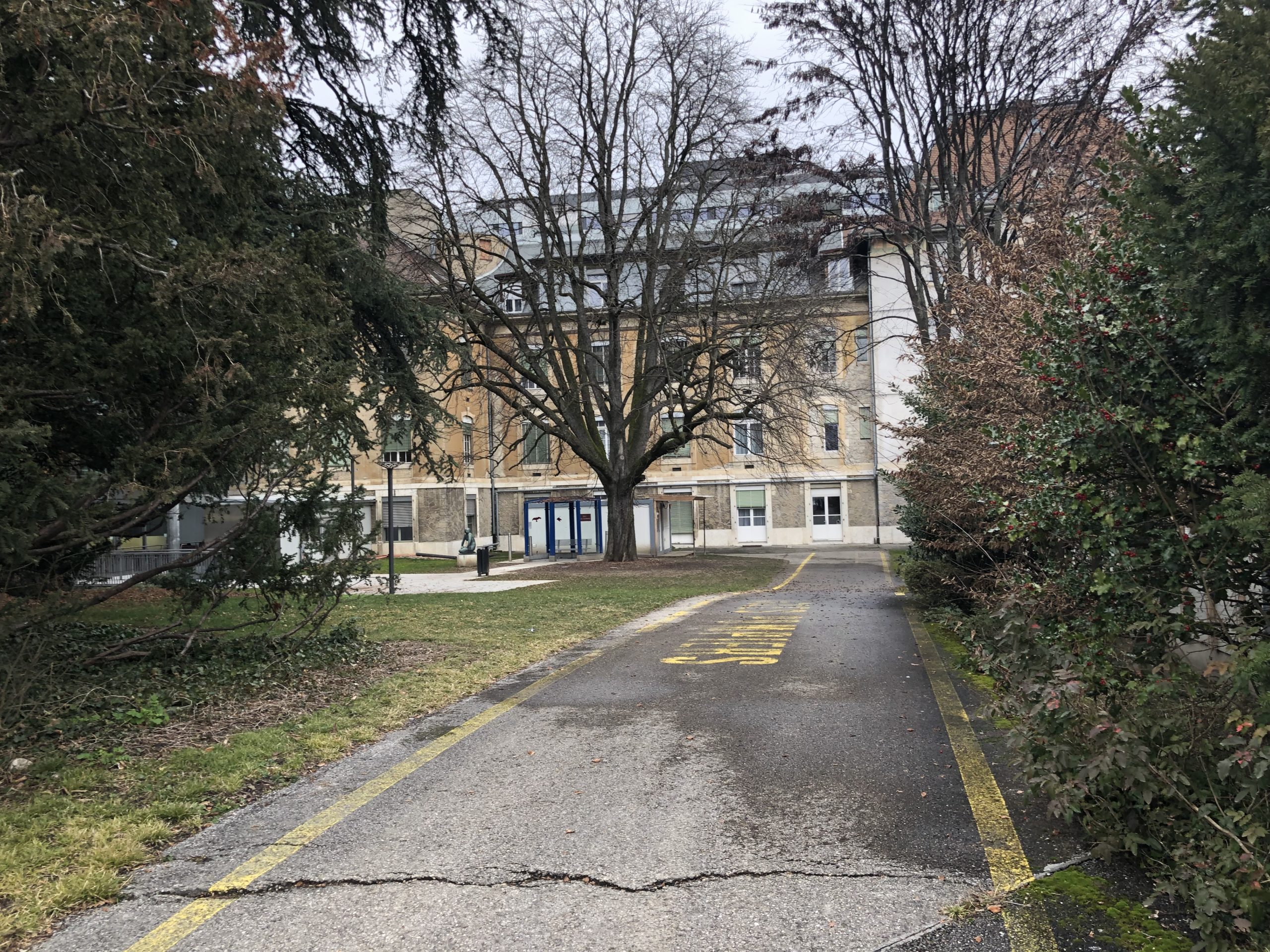 Rue Barthélemy-Menn 2019-02-09_16-19-50