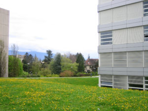Genève-Collège André Chavanne-13