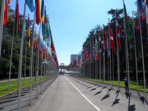 2010-06-05_14-25-32