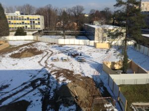 2013-01-17_13-33-36