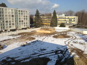 2013-01-17_13-33-49