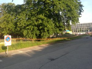 2013-06-07_07-37-48