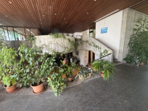 IMG_0128