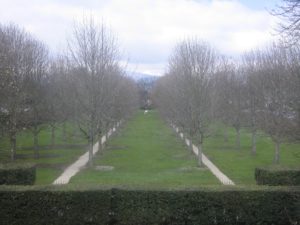 2006-04-06_10-49-40