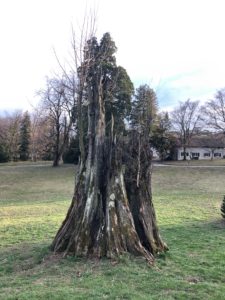 2019-03-03_17-31-36