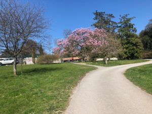 2019-03-24_14-46-57