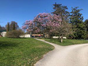 2019-03-24_14-47-00