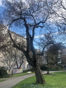 2019-04-05_18-23-58