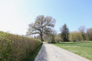 2019-04-14_10-23-04
