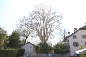 2019-04-14_13-25-32