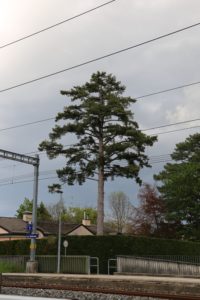 2019-04-27_18-01-47