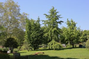 2019-05-26_09-42-09