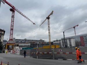 IMG_20241210_130047