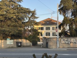 IMG_8244