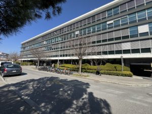 IMG_8401