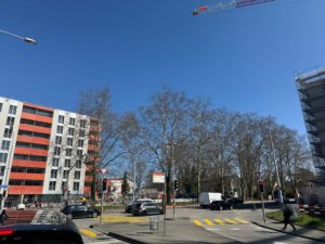 IMG_8424