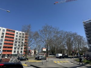 IMG_8424