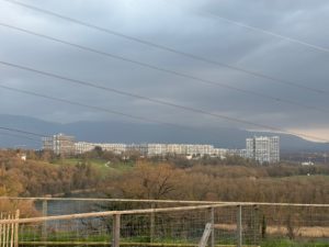 IMG_8544