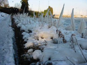 2005-01-29_16-41-39