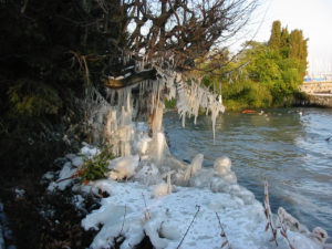 2005-01-29_16-43-47