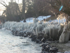 2005-01-29_16-44-48