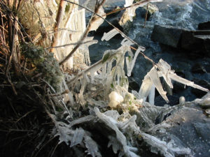 2005-01-29_16-45-33