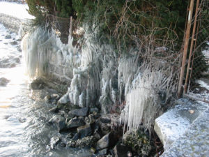 2005-01-29_16-46-11