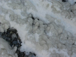 2005-01-29_16-58-02