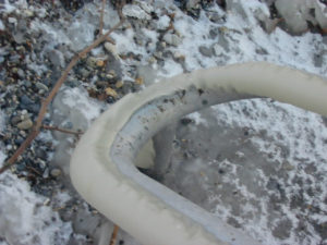 2005-01-29_16-58-49