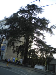 Haute Ecole de Santé