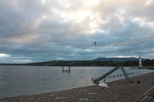 2011-09-09_07-39-30