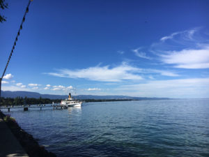 2017-07-04_17-12-50 1